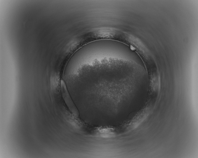 X0000116420407200912081508
