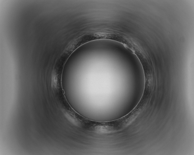 X0000116420408200912081508
