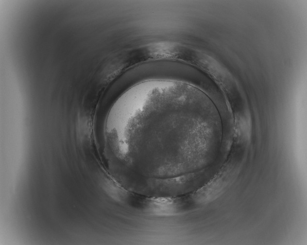 X0000116420409200912081508