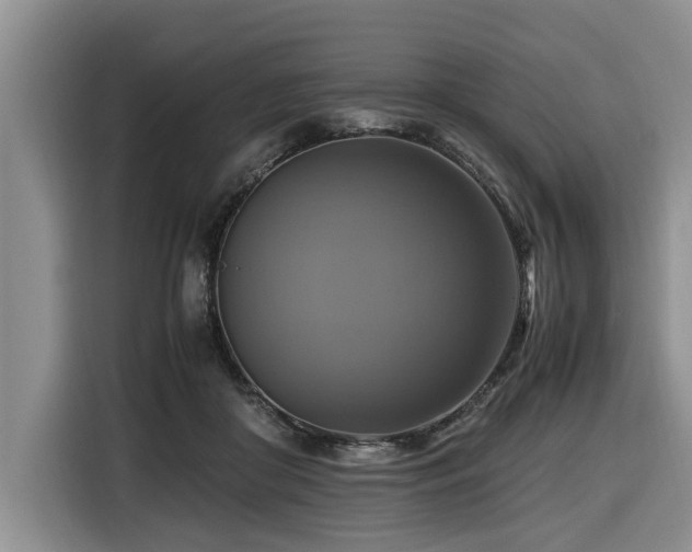 X0000116420410200912081508