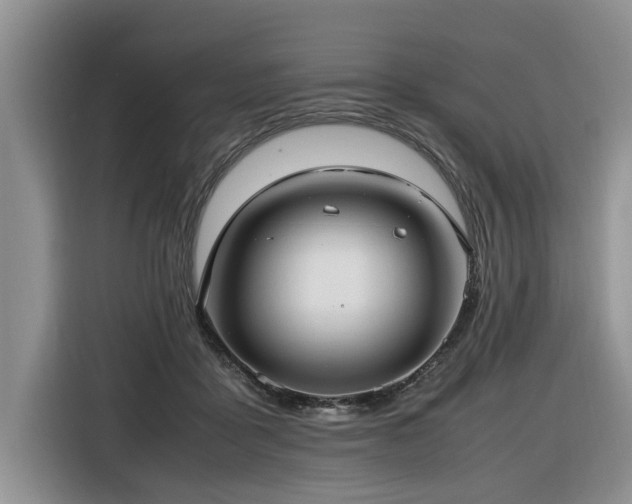 X0000116420411200912081508