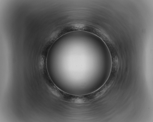 X0000116420412200912081508