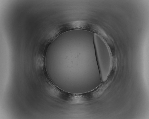 X0000116420413200912081508