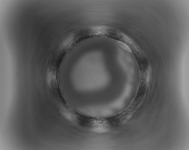 X0000116420415200912081508