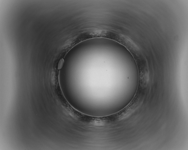 X0000116420416200912081508