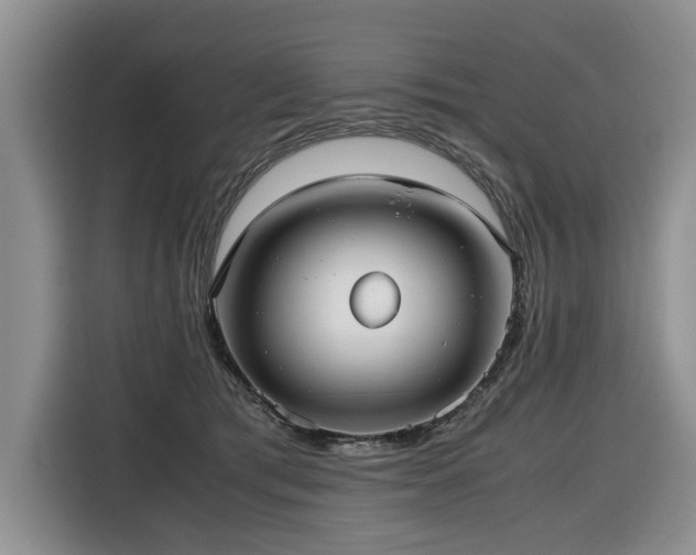 X0000116420417200912081508