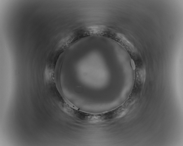 X0000116420419200912081508