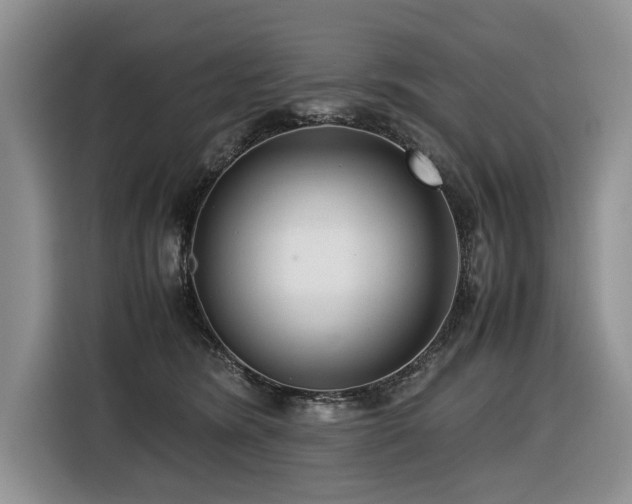 X0000116420420200912081508