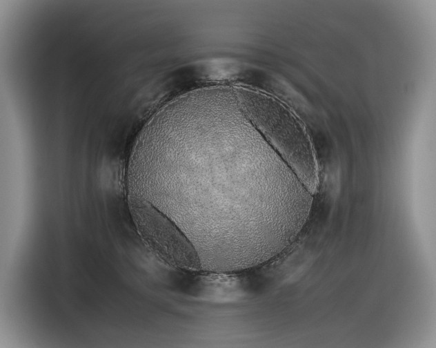 X0000116420421200912081508