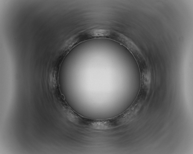 X0000116420422200912081508