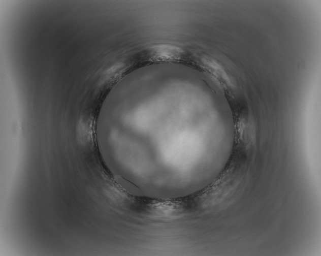 X0000116420423200912081508