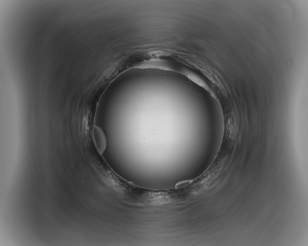 X0000116420424200912081508