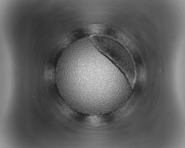 X0000116420425200912081508
