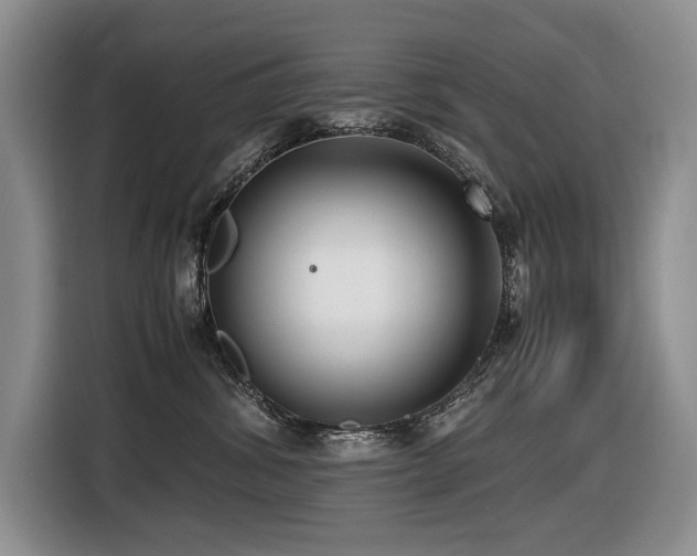 X0000116420428200912081508
