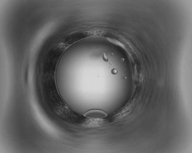 X0000116420429200912081508