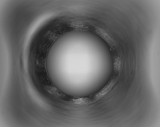 X0000116420430200912081508