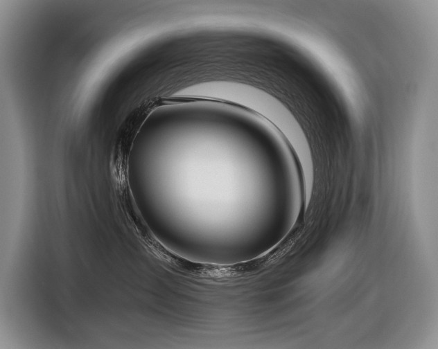 X0000116420431200912081508
