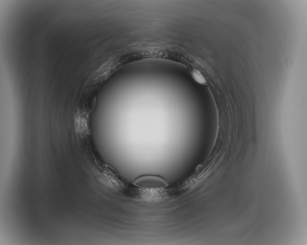 X0000116420432200912081508
