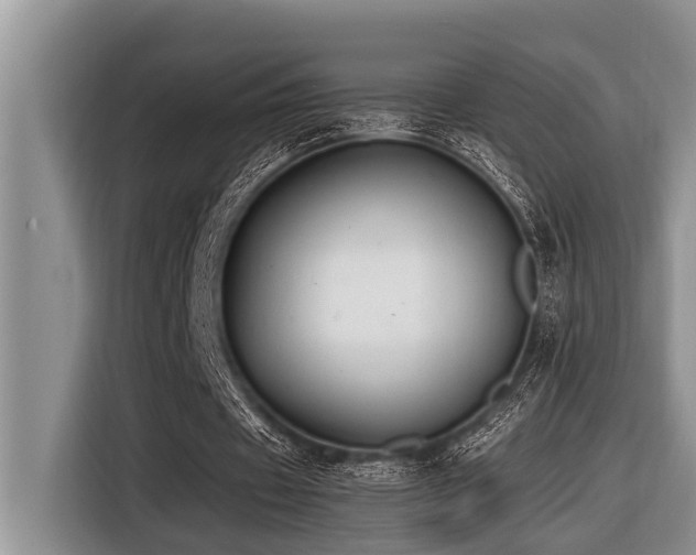 X0000116420433200912081507