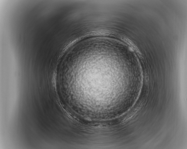 X0000116420434200912081507