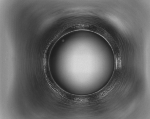 X0000116420435200912081507