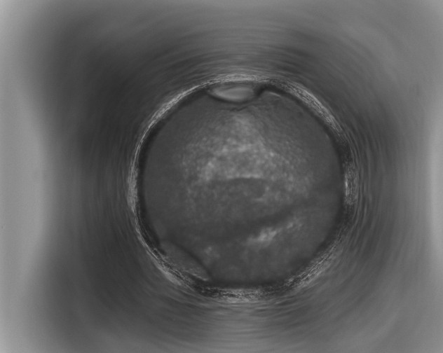 X0000116420436200912081507