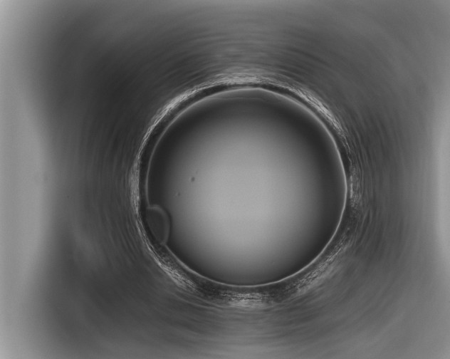 X0000116420438200912081507