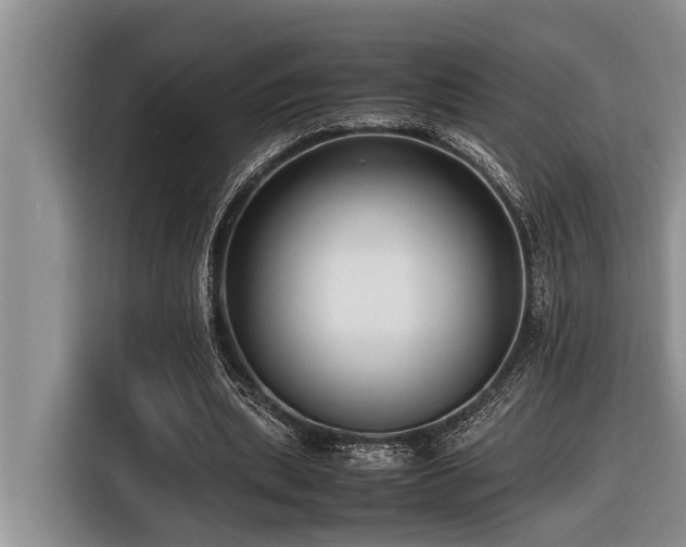 X0000116420439200912081507