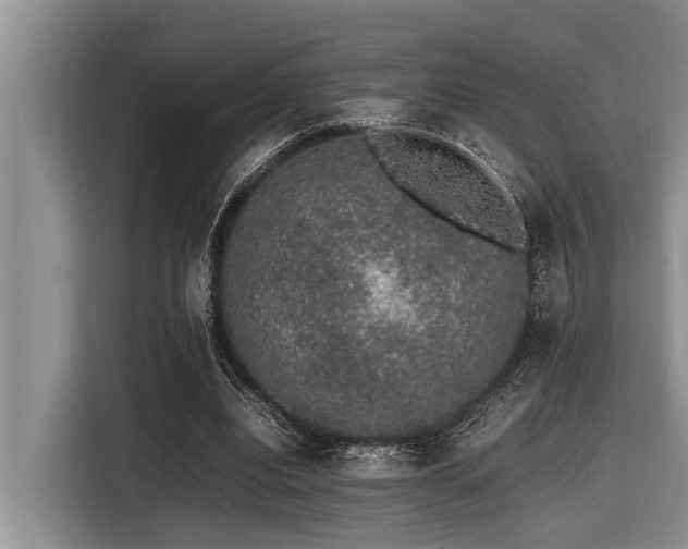 X0000116420440200912081507