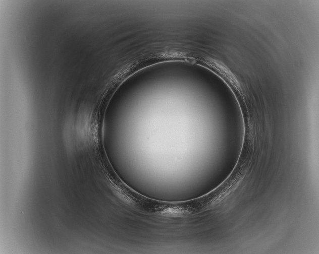 X0000116420441200912081507