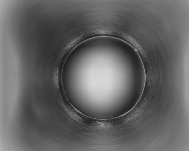 X0000116420442200912081507