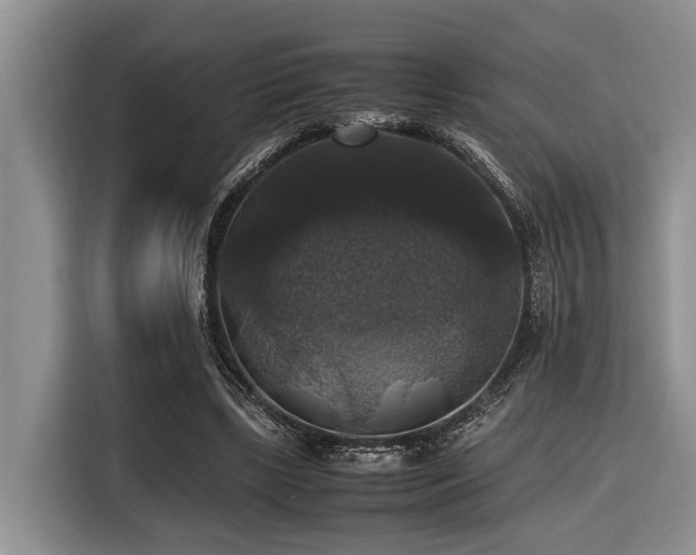 X0000116420443200912081507