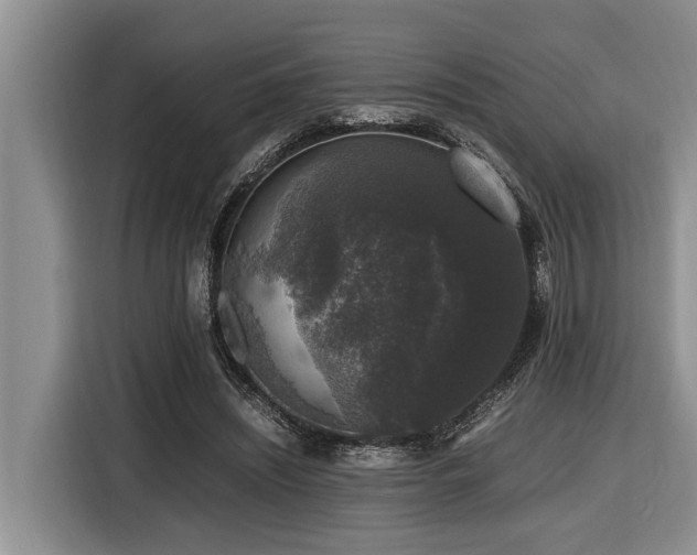 X0000116420444200912081507