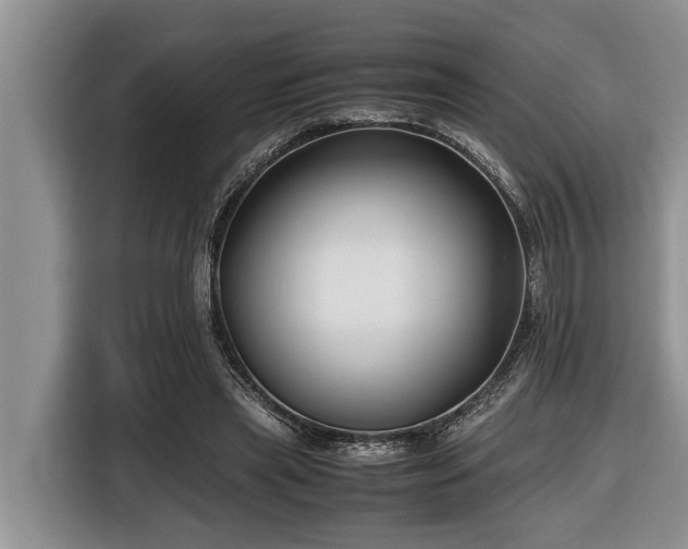 X0000116420445200912081507
