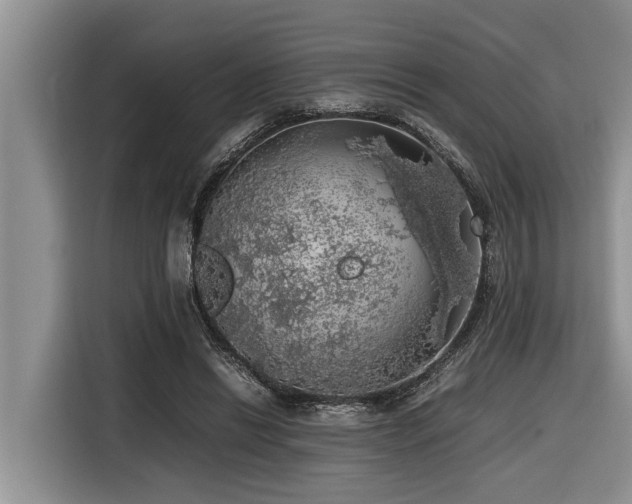 X0000116420446200912081507