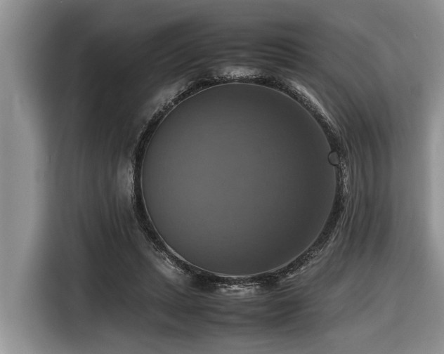 X0000116420447200912081507