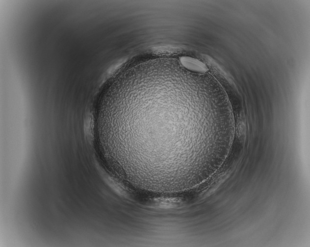 X0000116420448200912081507