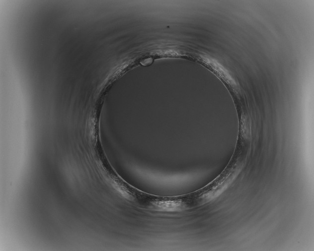 X0000116420449200912081507