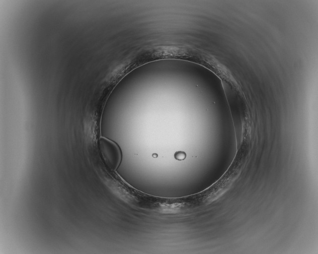 X0000116420450200912081507