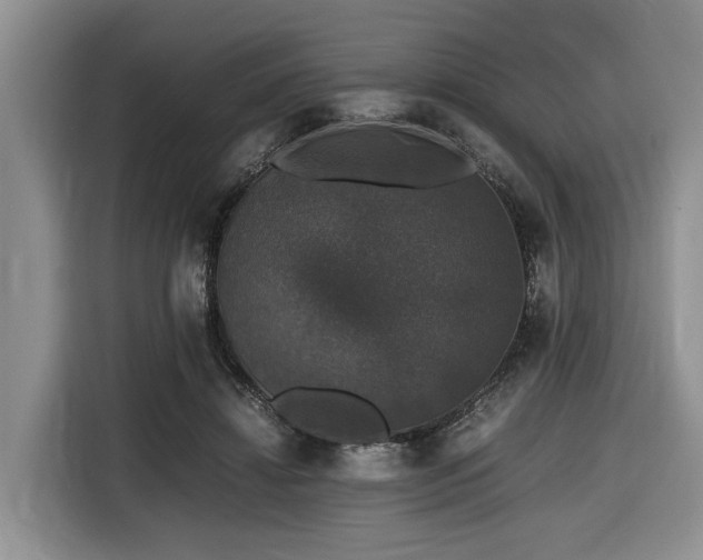 X0000116420452200912081507