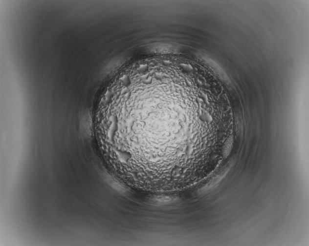 X0000116420453200912081507