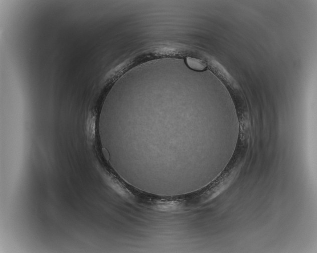 X0000116420454200912081507