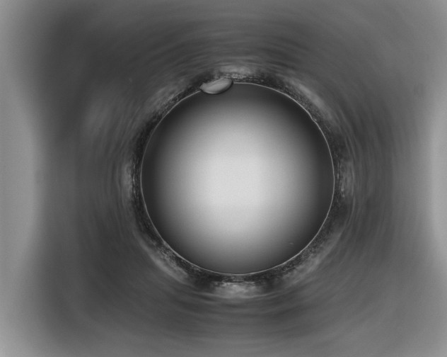 X0000116420455200912081507