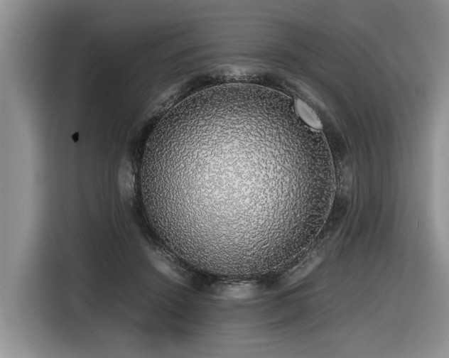 X0000116420456200912081507