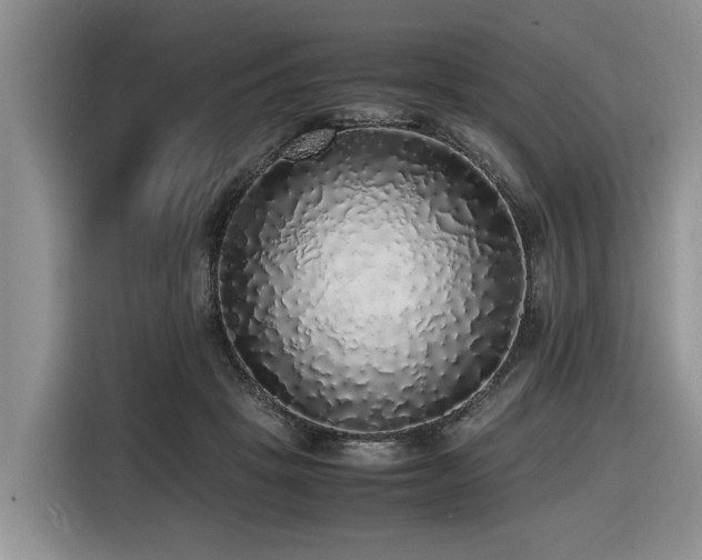 X0000116420457200912081507
