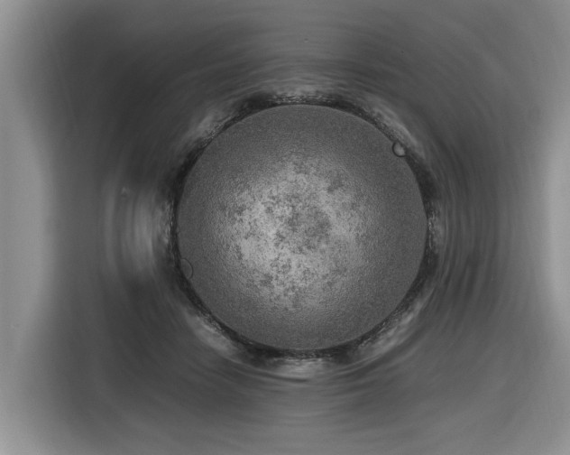 X0000116420458200912081507