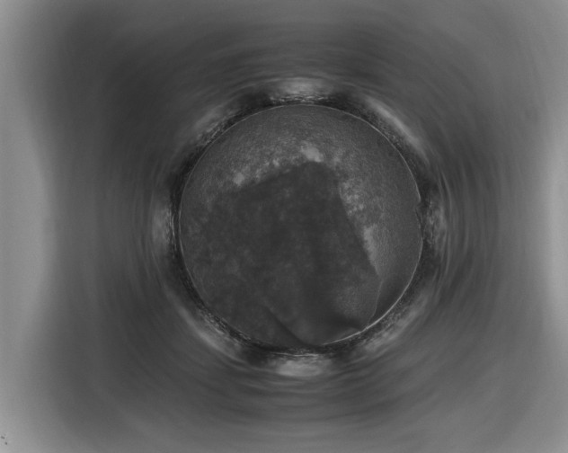 X0000116420459200912081507