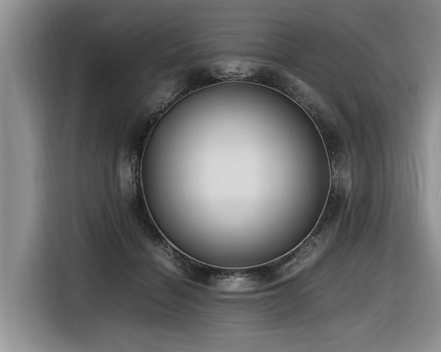 X0000116420460200912081507