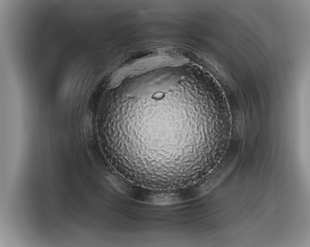 X0000116420461200912081507