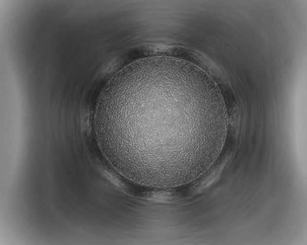 X0000116420462200912081507